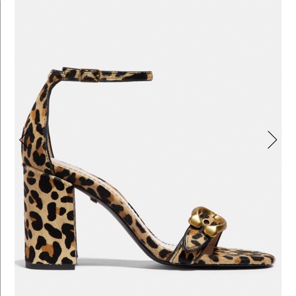 Coach | Maya Buckle Calf Hair Leopard Sandal - Picture 5 of 8